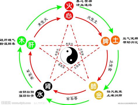 三字五行|三的五行